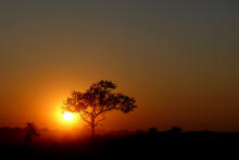 Réserve de BALULE - coucher de soleil