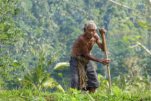 BALI - Région de Sidemen