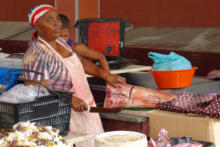 Ile de SAO VICENTE - Mindelo - Marché aux poissons