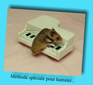 Méthode spéciale pour hamster...