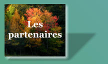 Les partenaires